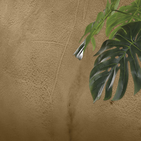 01-bronzo-plamina-jungle-